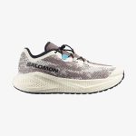 Salomon Aero Glide 4 Grvl Erkek Outdoor Koşu Ayakkabısı L47397100