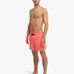 Quiksilver Stretch Printed Volley 16" (Eqyjv04021) Erkek Deniz Şortu