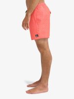 Quiksilver Stretch Printed Volley 16" (Eqyjv04021) Erkek Deniz Şortu - Görsel 2