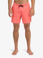 Quiksilver Stretch Printed Volley 16" (Eqyjv04021) Erkek Deniz Şortu - Görsel 3