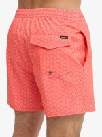 Quiksilver Stretch Printed Volley 16" (Eqyjv04021) Erkek Deniz Şortu - Görsel 5