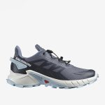 Salomon Supercross 4 Kadın Lacivert Koşu Ayakkabısı L47461700