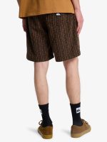 Quicksilver Erkek Şort TAXERJACQUARD EQYWS03909 - Görsel 3